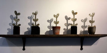 Original Art For Sale at The Biscuit Factory Art Gallery. Image shows five cartoon plants and their shadows.