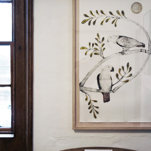 African Grey & Timneh Grey Parrots