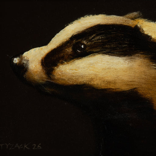 The Badger