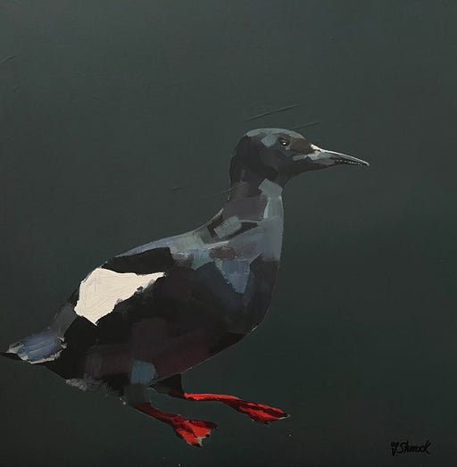Black Guillemot by Fiona Sturrock | Contemporary Painting for sale at The Biscuit Factory Newcastle