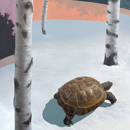 Can't See the Wood Through the Trees