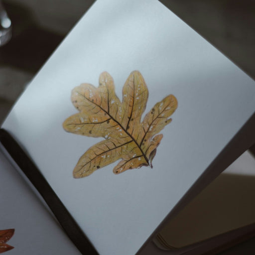 Exploring Nature in Writing with Amanda Quinn, a creative writing workshop at The Biscuit Factory Newcastle. | Image of a leaf in a notepad by pure julia via usplash