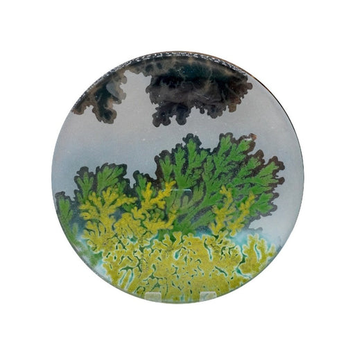 Large Round Dish by Botanical Glass | Contemporary Glassware for sale at the Biscuit Factory Newcastle