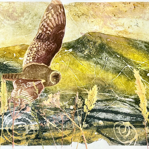 Late Summer Across the Moors