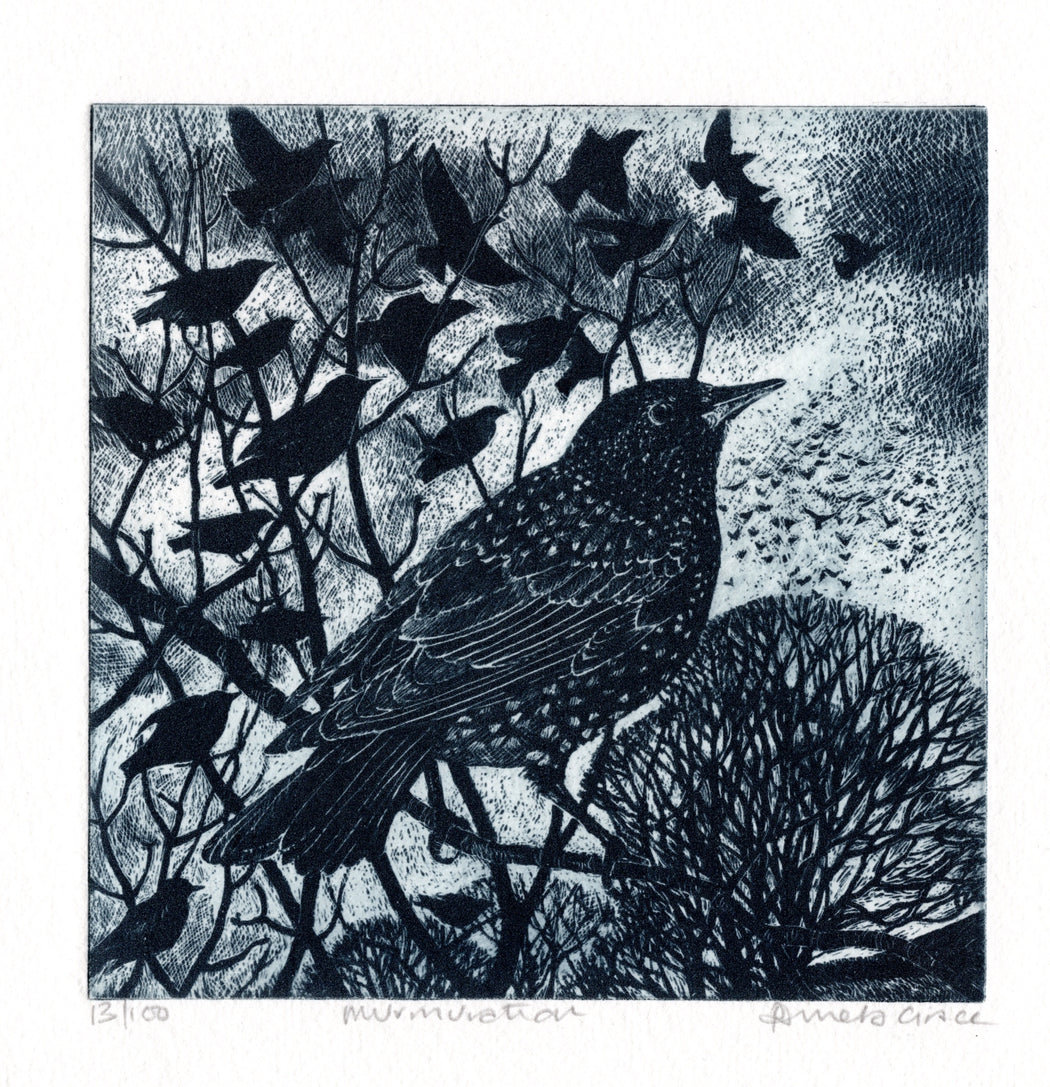 Murmuration by Pamela Grace | Contemporary Prints for sale at The Biscuit Factory Newcastle