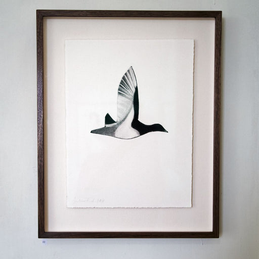 Over the Flow Country