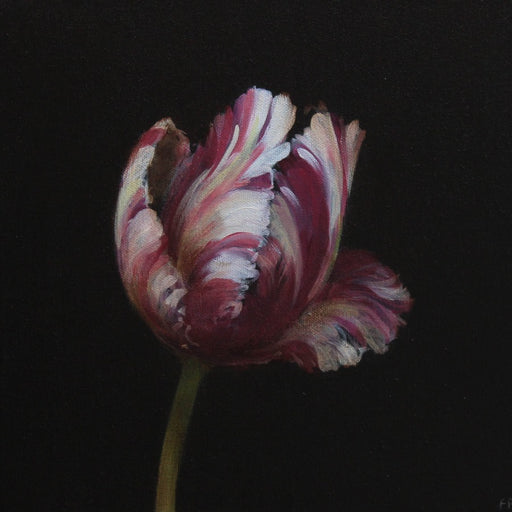 Parrot Tulip Study I by Fletcher Prentice | Contemporary Painting for sale at The Biscuit Factory Newcastle 