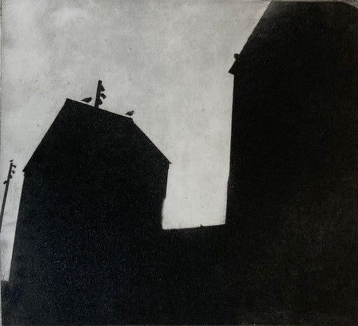 Thalosophile by Sarah Morgan | Contemporary Prints for sale at The Biscuit Factory Newcastle