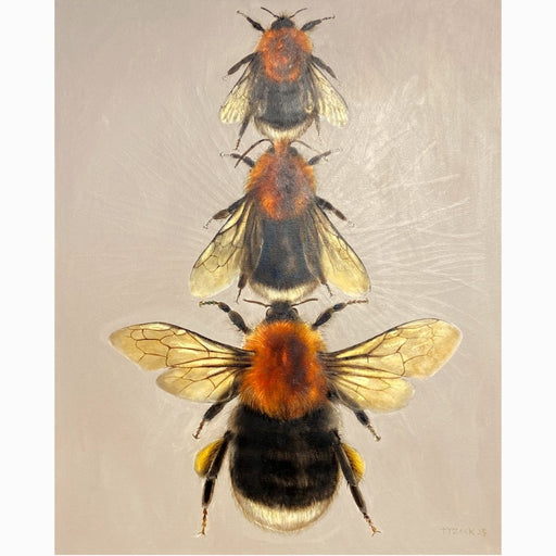 Tree Bees by Andrew Tyzack | Contemporary painting available at The Biscuit Factory Newcastle