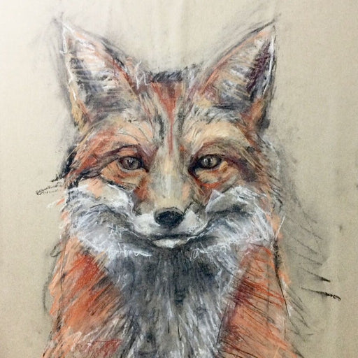 Fox Face by Zoe Robinson | Contemporary Animal drawing for sale at The Biscuit Factory Newcastle