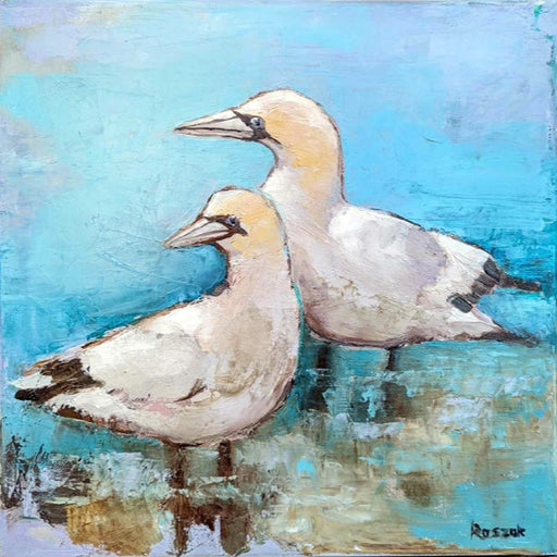 Gannets