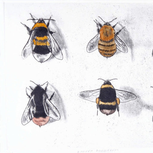 Garden Bumblebees by Andrew Tyzack | Contemporary Prints for sale at The Biscuit Factory Newcastle