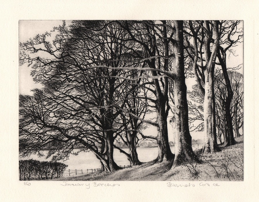 January Beeches by Pamela Grace | Contemporary handmade prints for sale at The Biscuit Factory Newcastle