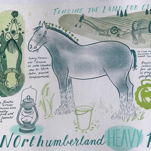 Northumberland Heavy Horse by Trina Dalziel | Contemporary Prints for sale at The Biscuit Factory Newcastle 