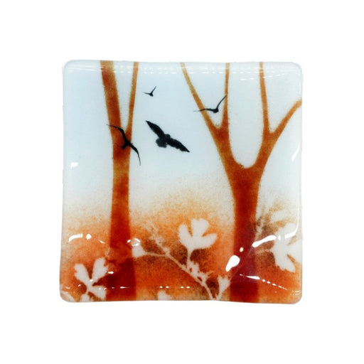 Small Square Dish by Botanical Glass | Contemporary Glassware for sale at The Biscuit Factory Newcastle