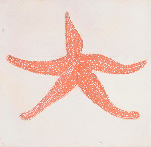 Starfish