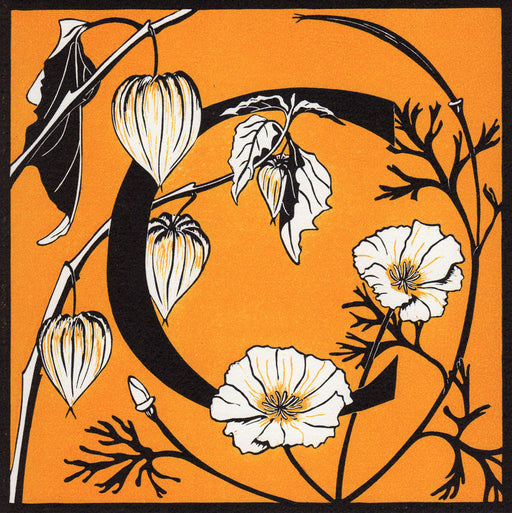 View and buy typography prints by Julie North at The Biscuit Factory. Image shows an orange square print with a black border featuring the letter C in the centre decorated with white flowers