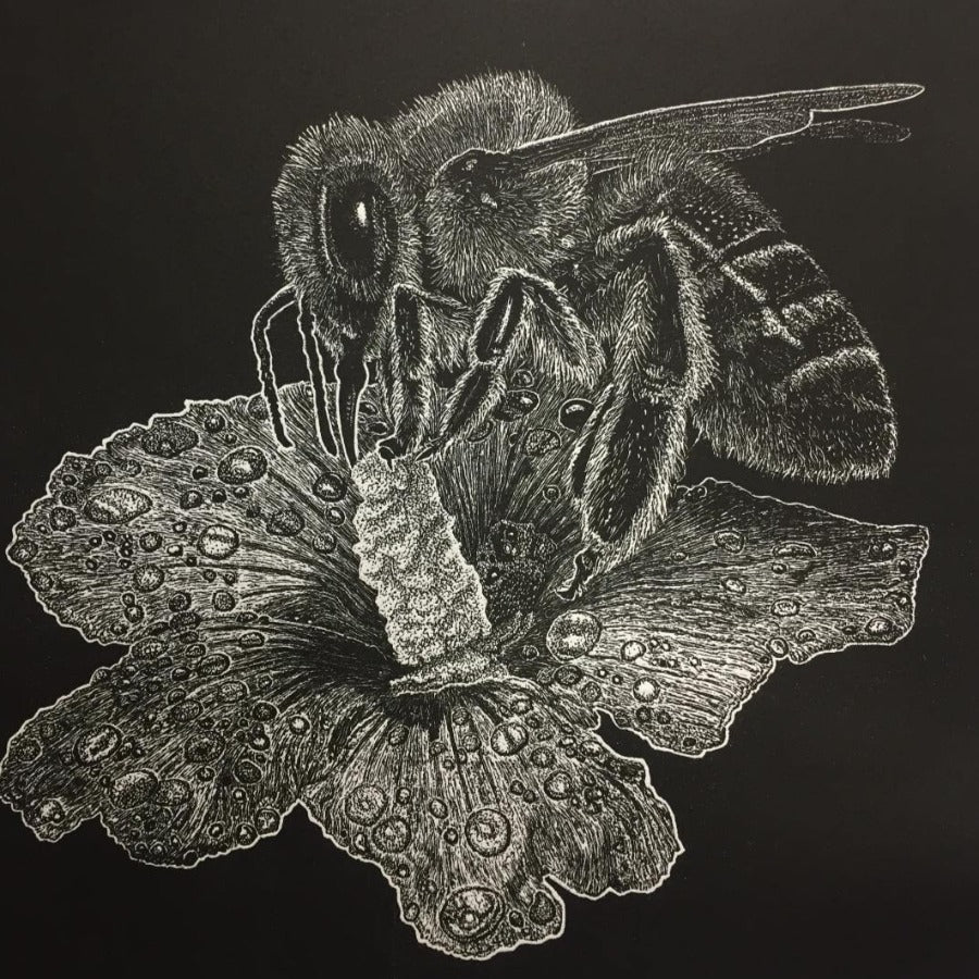 Dusk by Ade Adesina, a linocut print of a bee on a flower | Limited Edition prints for sale at The Biscuit Factory Newcastle