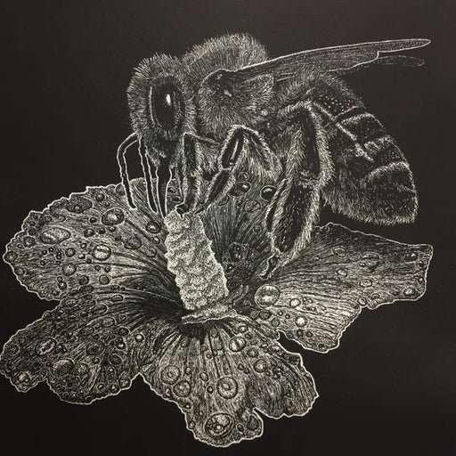 Dusk by Ade Adesina, a linocut print of a bee on a flower | Limited Edition prints for sale at The Biscuit Factory Newcastle