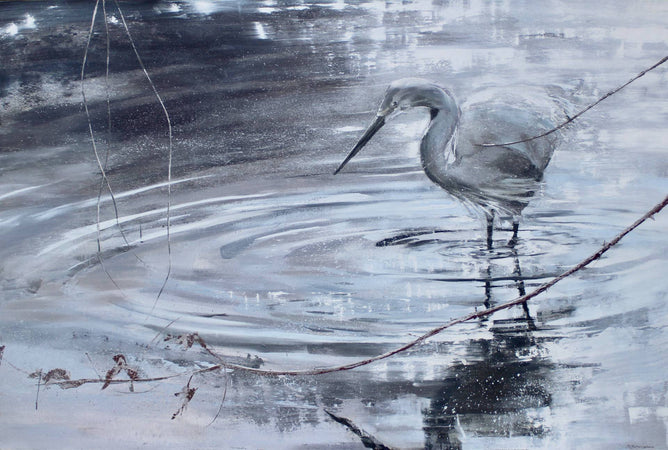 James Fotheringhame - Encounters with Nature