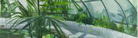 View and buy original art the biscuit factory. Image shows plants in a greenhouse with a gray pathway through it.
