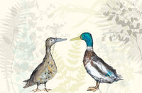 View and buy paintings, prints and watercolours by award winning author and illustrator Catherine Rayner at The Biscuit Factory. Image shows a watercolour painting of a male and female duck staring at each other lovingly.