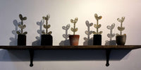 View and buy original glass artwork by Sue Woolhouse online at The Biscuit Factory. Image shows a shelf on a white wall, with a row of glass plant-shaped sculptures in various shaped and coloured pots.