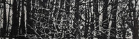 Image shows a small cropped section of a black and white print by Tony Carlton