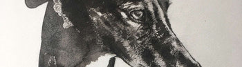 Image shows a cropped section of a black and white painting of a dog by Sarah Gooder