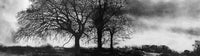 Original landscape drawings by Paul West at The Biscuit Factory Newcastle