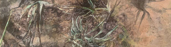 Image shows a cropped section of a painting by Judith Tucker