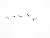 View and buy minimalist prints by Alan Stones at The Biscuit Factory, a Newcastle art gallery. Image shows a black and white linocut of 6 birds in different stages of flight, almost aligned horizontally across the print.