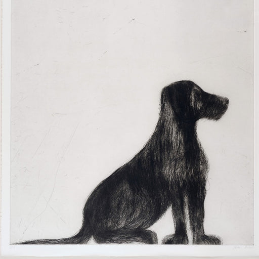 Stevie Sitting by Kate Boxer | Contemporary Printmaking for sale at The Biscuit Factory 