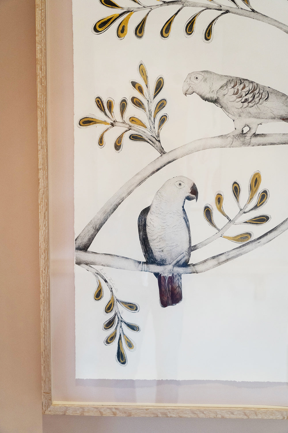 African Grey & Timneh Grey Parrots