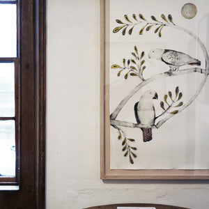 You added <b><u>African Grey & Timneh Grey Parrots</u></b> to your cart.