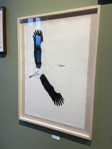 You added <b><u>Andean Condor (Flying)</u></b> to your cart.