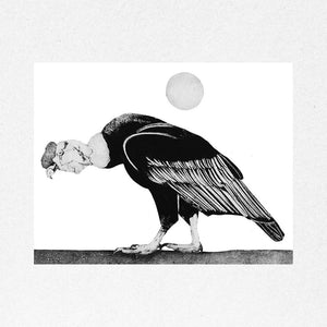 You added <b><u>Andean Condor II (Walking)</u></b> to your cart.