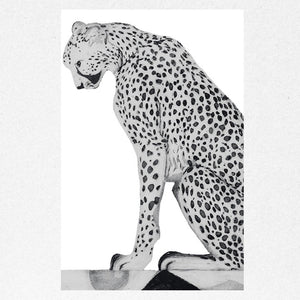 You added <b><u>Asiatic Cheetah</u></b> to your cart.