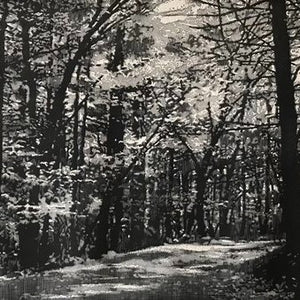 You added <b><u>Beechwood Boughs</u></b> to your cart.