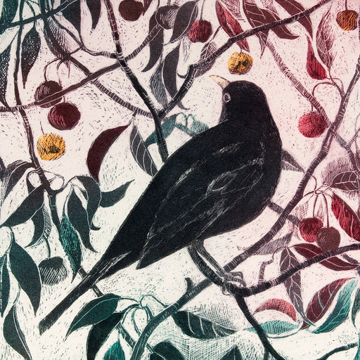 Blackbird in the Crabapple Tree by Pamela Grace | Contemporary Prints for sale at The Biscuit Factory Newcastle