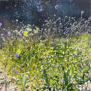 You added <b><u>Brimstone, Devils Bit Scabious</u></b> to your cart.