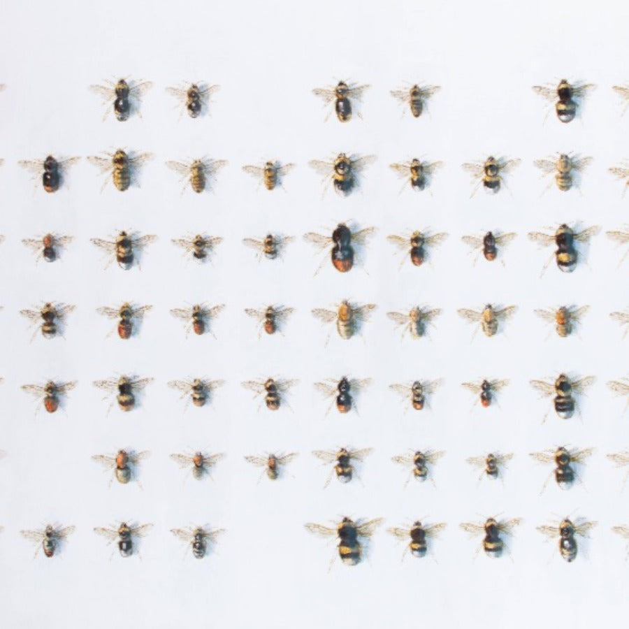 British Bumblebees by Andrew Tyzack | Contemporary Paintings for sale at The Biscuit Factory Newcastle 