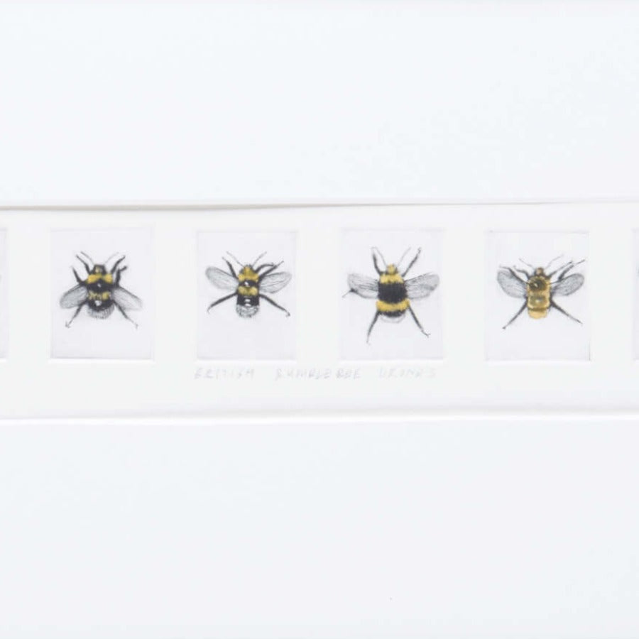 British Bumblebee Drones by Andrew Tyzack | Contemporary Paintings for sale at The Biscuit Factory Newcastle 