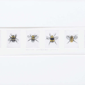 You added <b><u>Bumblebee Drones</u></b> to your cart.