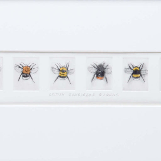 Bumblebee Queens by Andrew Tyzack  | Contemporary Prints for sale at The Biscuit Factory Newcastle 