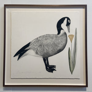 You added <b><u>Canada Goose</u></b> to your cart.