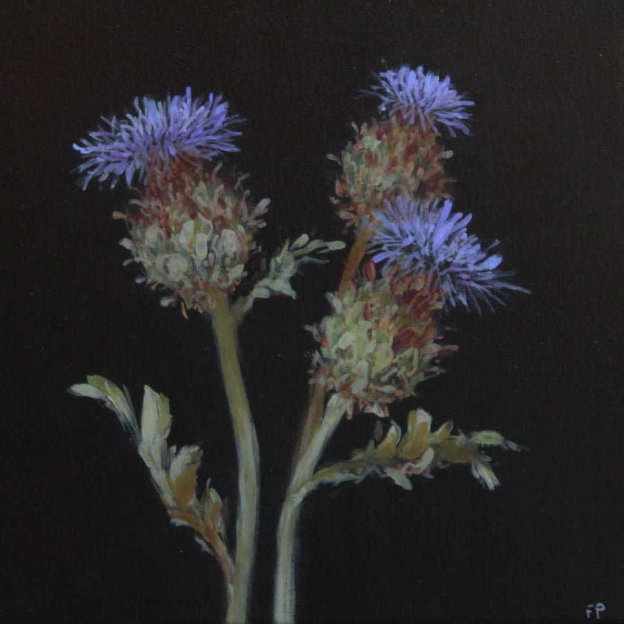 Cardoon Flowers by Fletcher Prentice | Contemporary Painting for sale at The Biscuit Factory Newcastle 