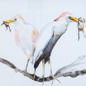 You added <b><u>Cattle Egret</u></b> to your cart.