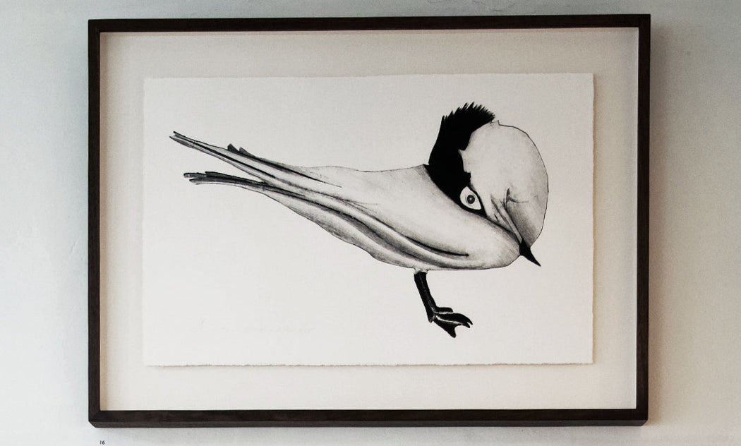 Chinese Crested Tern II