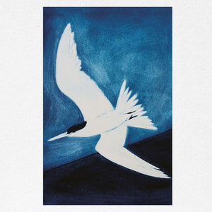 You added <b><u>Chinese Crested Tern</u></b> to your cart.